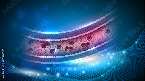 Healthy artery anatomy, blood flow inside vessel 3d illustration on an abstract blue background