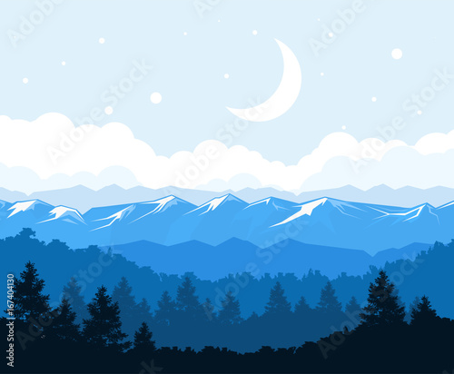 Foggy forest at the foot of mountains - rocks landscape