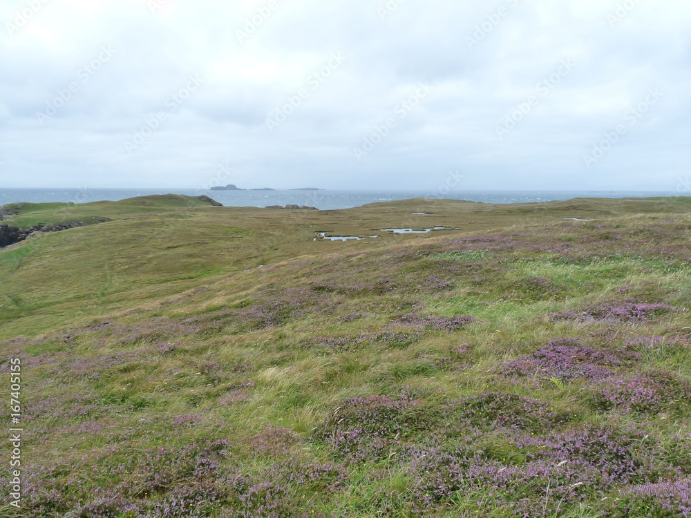 heather and the Hebrides heather and the Hebrides