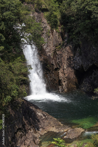 Waterfall  in moss forest in Yakushima Island Japan