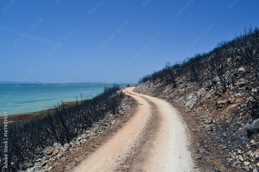 Trail after fire in Vransko lake Nature Reserve. Vransko lake in background. Dalmatia, Croatia.