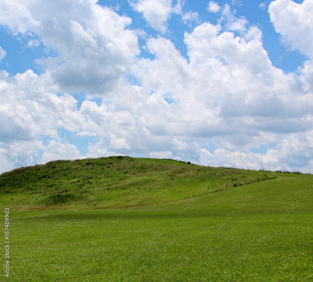 The green grass landscape with the white clouds in the sky. The green grass landscape with the white clouds in the sky.