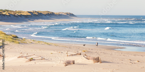 A Man with his best friend, walking in Cabedelo Beach at morning, Viana do Castelo, Portugal. photo