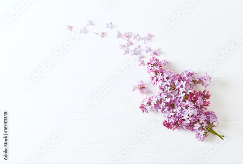 Lilac Flowers on a White Wooden Background