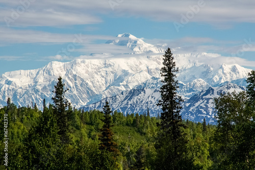 Denali above the clouds in the early morning photo