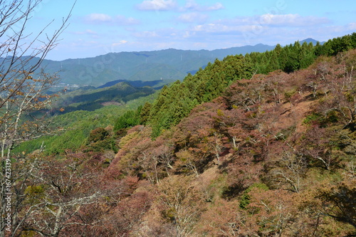 秋の吉野山