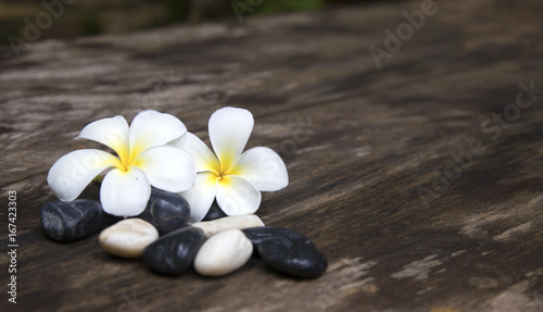 Frangipani plumeria Spa Flower with massage stones on wood background.