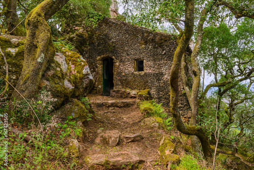 Chapel in the forest of bussaco. Coimbra. Portugal photo