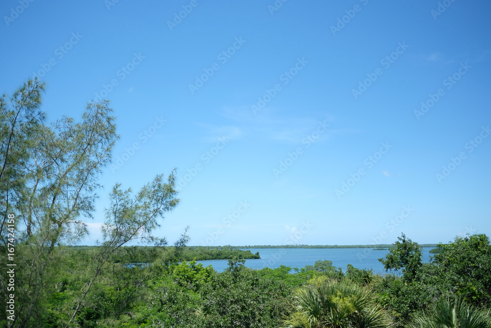 landscape of florida island