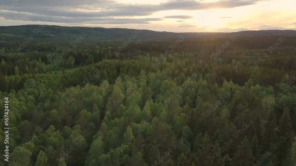 swedish landscaope by drone
