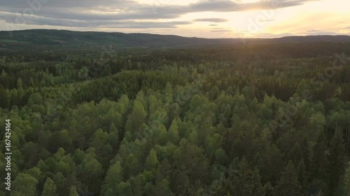 swedish landscaope by drone
