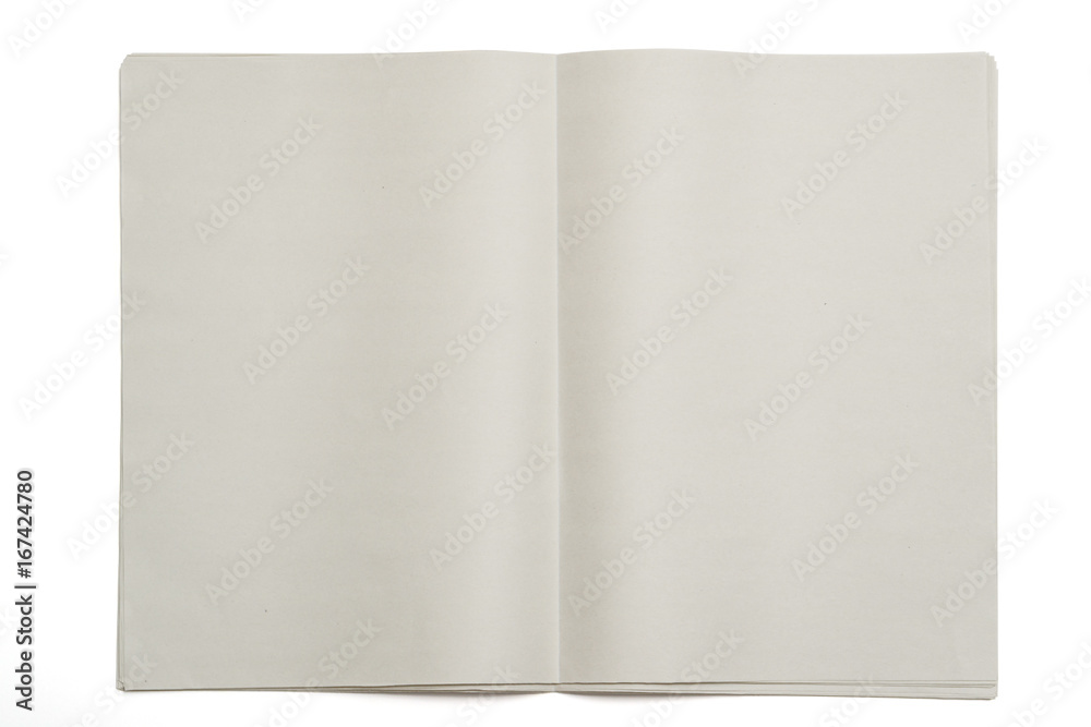 Blank newspaper on isolated background. Blank newspaper on isolated background.