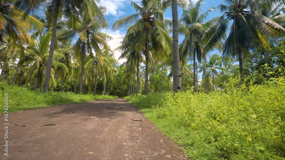 Young caucasian woman rides red bicycle on dirt pathway between lush green palm trees on sunny day with blue sky. Shot with Sony a7s and Atomos Ninja Flame on Gili Meno, Indonesia Young caucasian woman rides red bicycle on dirt pathway between lush green palm trees on sunny day with blue sky. Shot with Sony a7s and Atomos Ninja Flame on Gili Meno, Indonesia