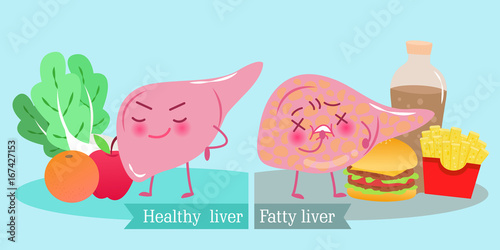 liver with health concept
