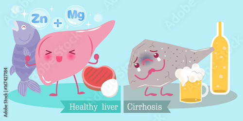 liver with health concept