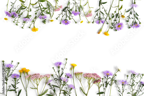 Floral and plants on white background. Frame of flowers. March 8, mother's day background. Top view, flat lay. Composition of wild flowers. Flower pattern.