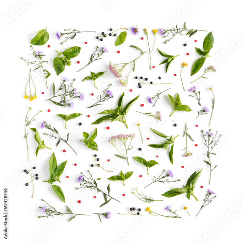 Fototapeta Naklejka Na Ścianę i Meble -  Floral and plants on white background. Frame of flowers. March 8, mother's day background. Top view, flat lay. Composition of wild flowers. Flower pattern.
