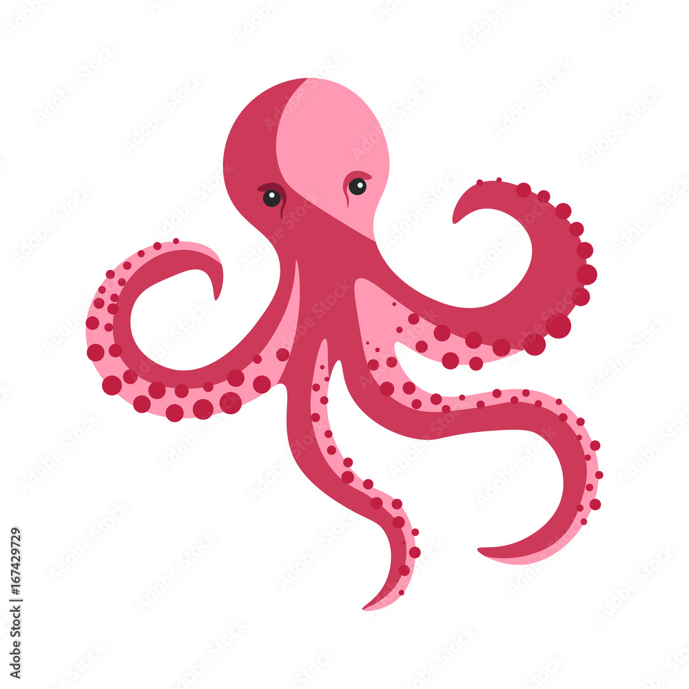 Pink octopus with long tentacles and round suckers Pink octopus with long tentacles and round suckers