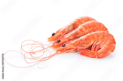 Fresh cooked shrimp isolated on white background.