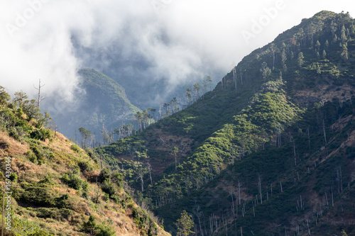 View to the south from the pass Boca da Encumeada in Madeira