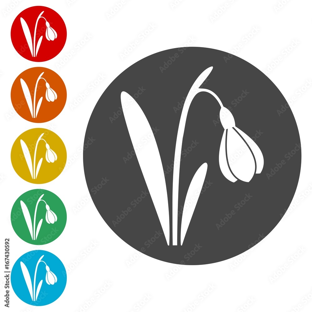 Snowdrop, vector icons set - Illustration Snowdrop, vector icons set - Illustration