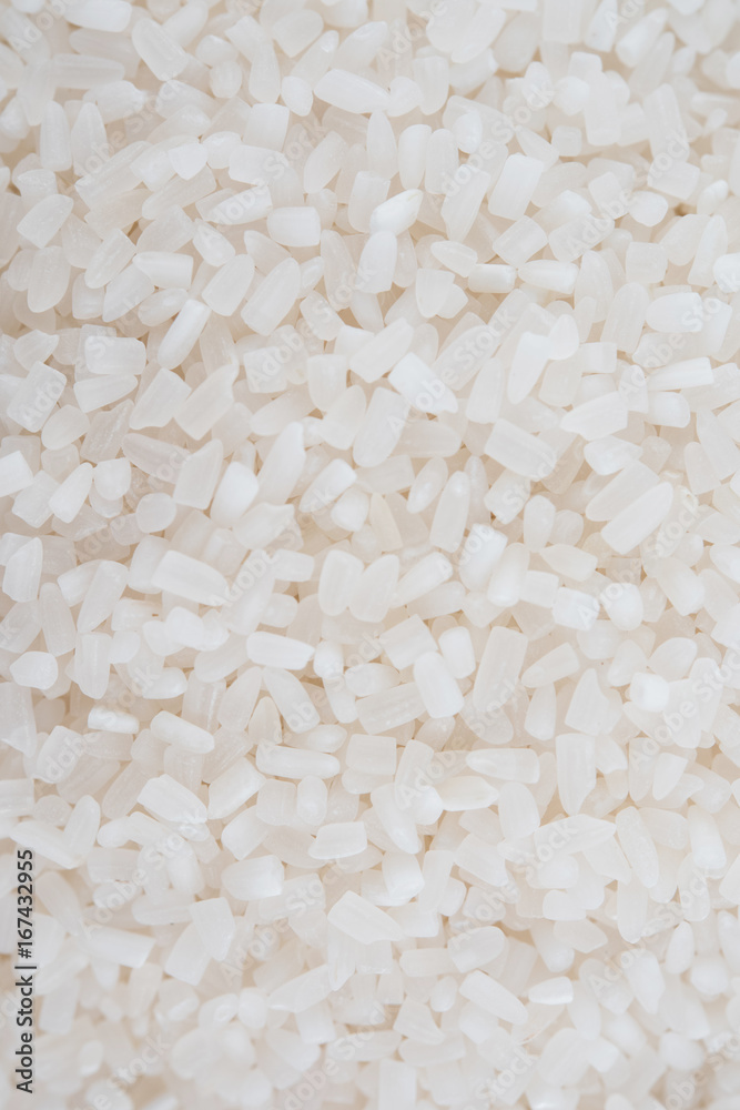 white rice, natural long rice grain for background and texture on white background