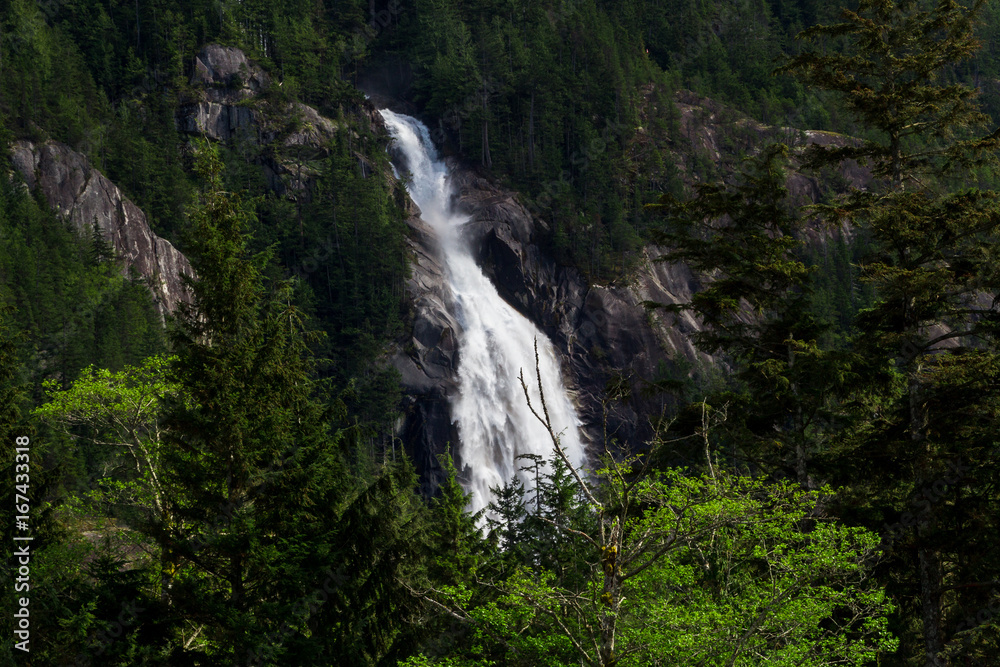 Big waterfall in green forest on sunny day