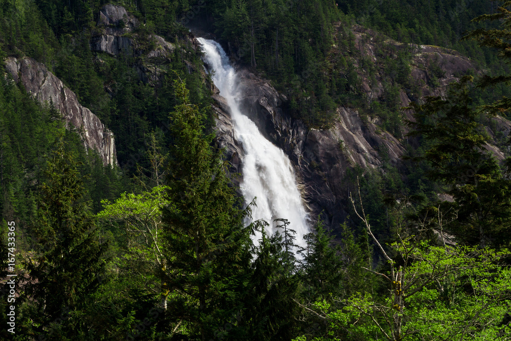 Big waterfall in green forest on sunny day