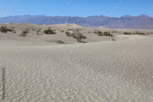 Sand Dunes in Death Valley. California. USA
