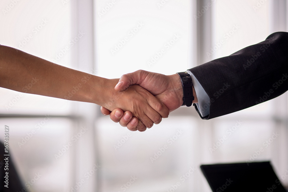 Businessman and businesswoman shake hands on agreement. Businees deal concept, partners concluding a deal.