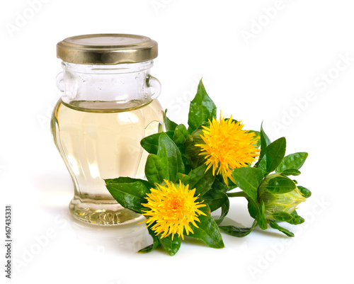 Safflower plant with oil in the bottle. photo