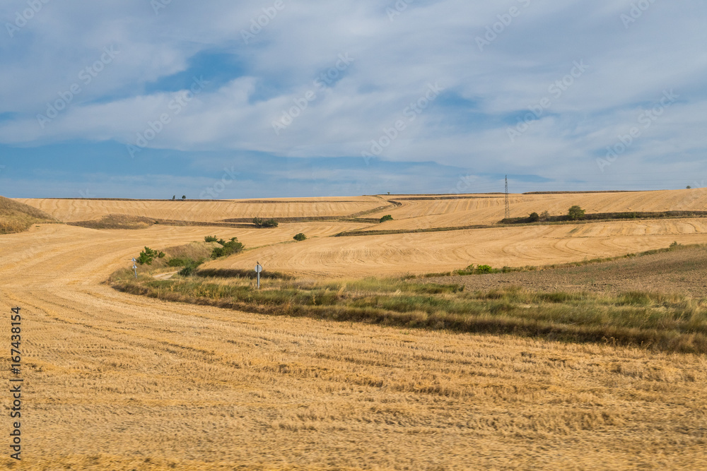 spanish field landscape spanish field landscape
