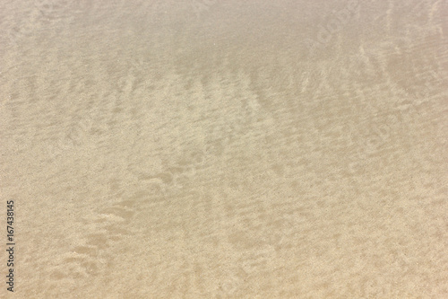 Fine beach sand in the summer sun sandy trails