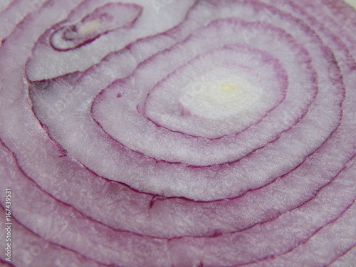 Macro purple onion.