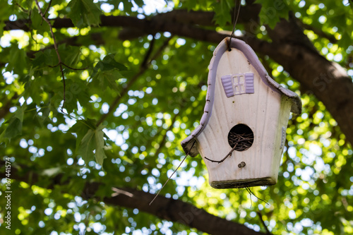 Old birdhouse hanging in a tree