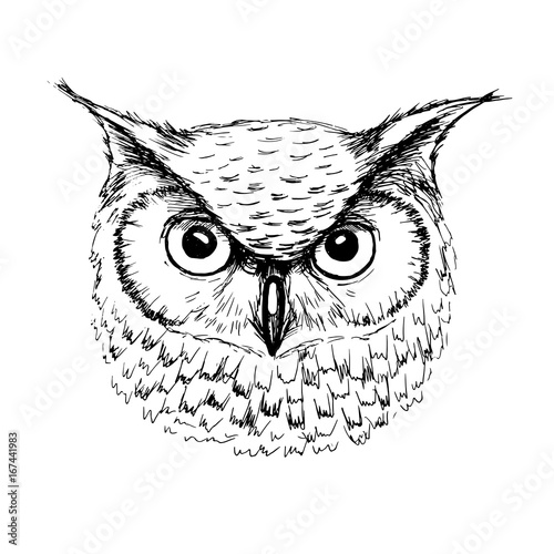 Vector sketch of owl head ballpoint pen