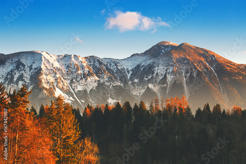 Snowy alps and autumn forest on sunrise.