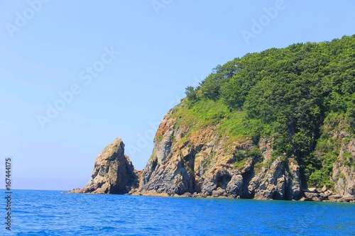 Cliff with vegetation