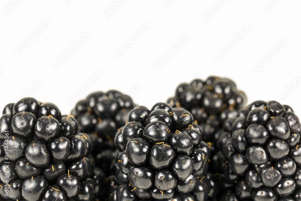 fresh blackberries isolated on white background fresh blackberries isolated on white background