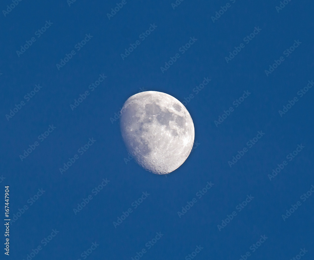 Waxing Gibbous Moon in Blue Sky Waxing Gibbous Moon in Blue Sky