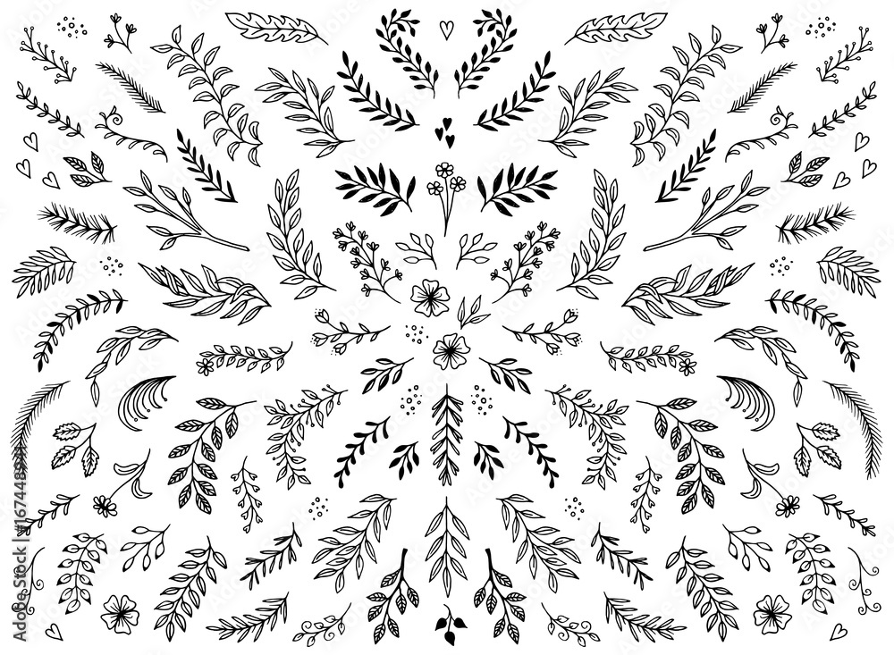 Fototapeta premium Hand sketched floral design elements, flowers and leaves for text decoration