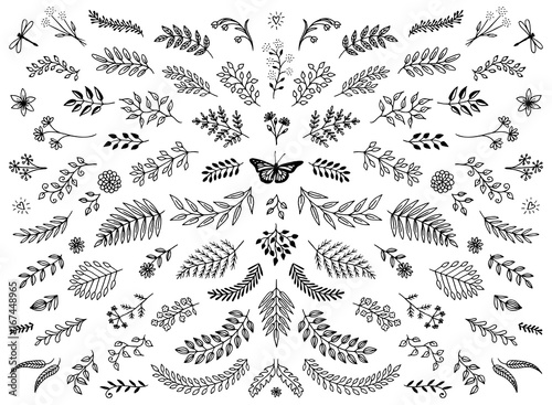 Hand sketched floral design elements, flowers and leaves for text decoration