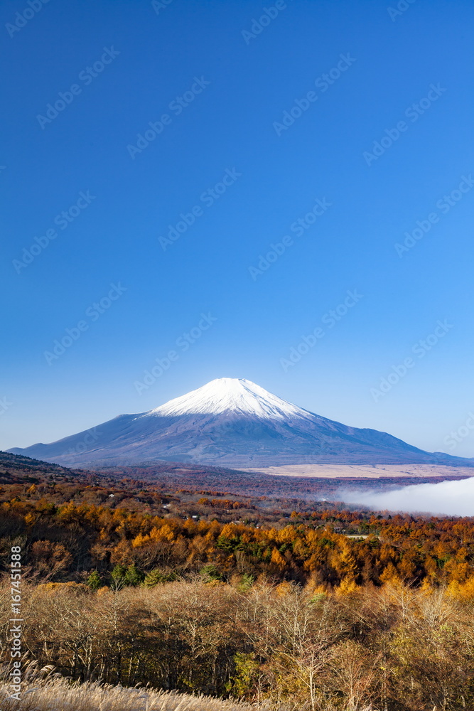 富士山と紅葉と雲海、山梨県山中湖にて 富士山と紅葉と雲海、山梨県山中湖にて