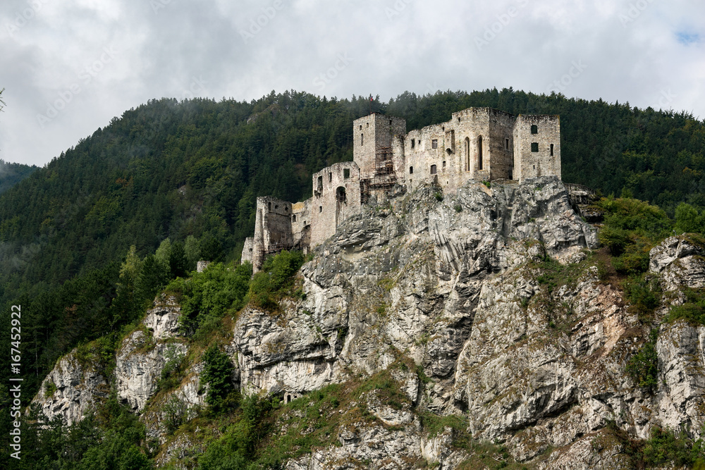 Castle Strecno Slovakia