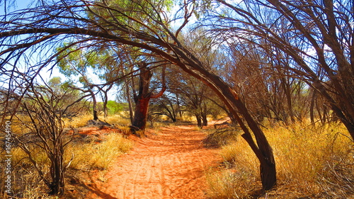 Valokuva Walk around Ayers Rock