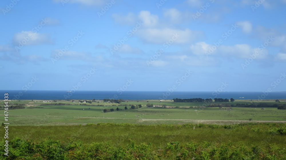 Fototapeta premium Green Fields