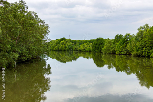 Rural river landscape summer river with bright sky and cloud