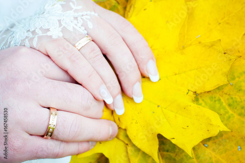 Hands of the bride and groom fall leaves