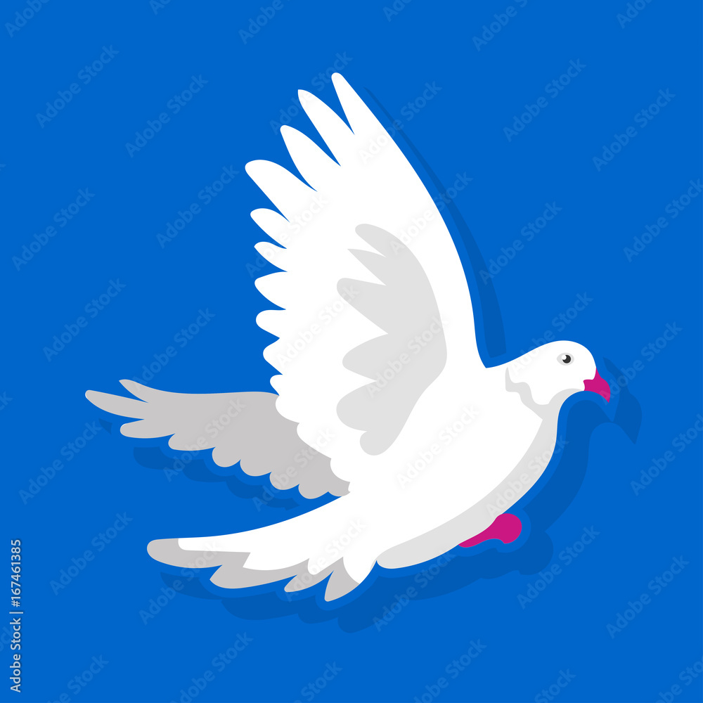 White bird flying White bird flying