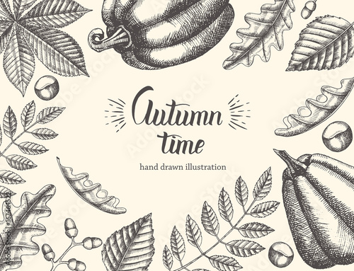 Vintage Autumn background with hand drawn leaves and pumpkin. Hand written trendy quote 'Autumn time". Sketch. Hand made lettering. Banner, flyer, brochure. Advertising